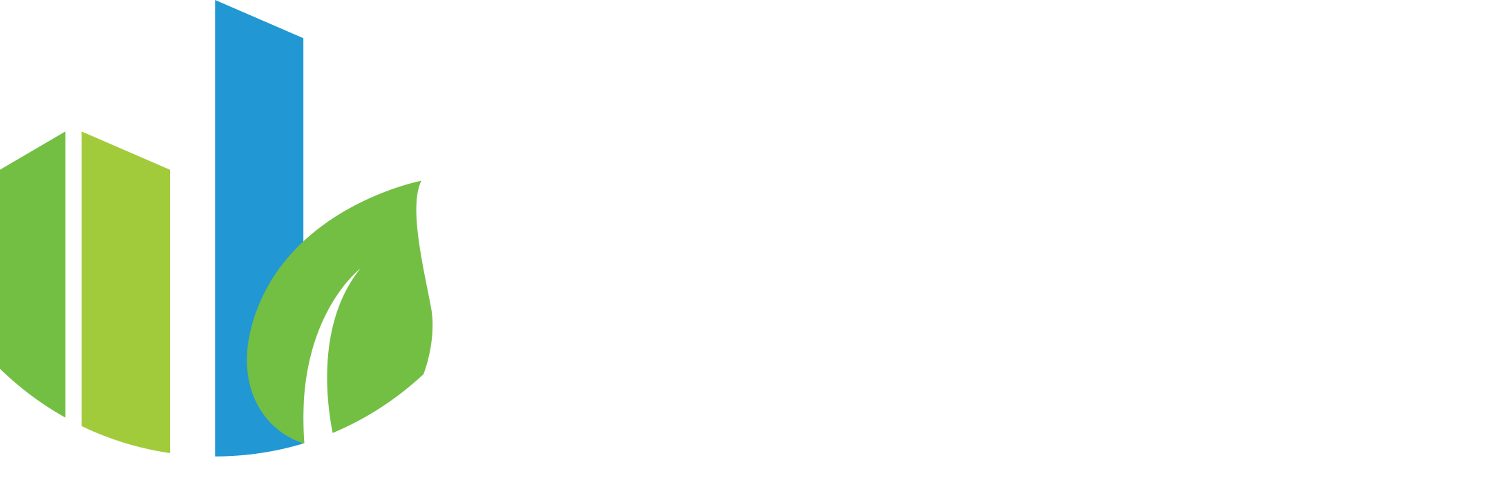 BMSI